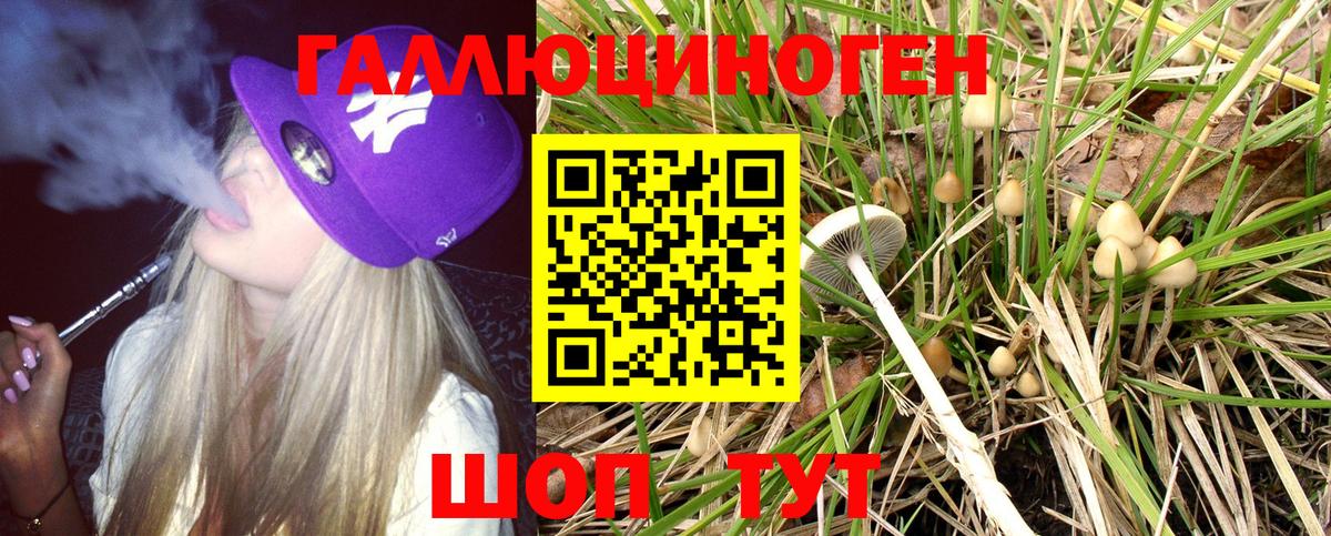 Галлюциногенные грибы MAGIC MUSHROOMS Унеча