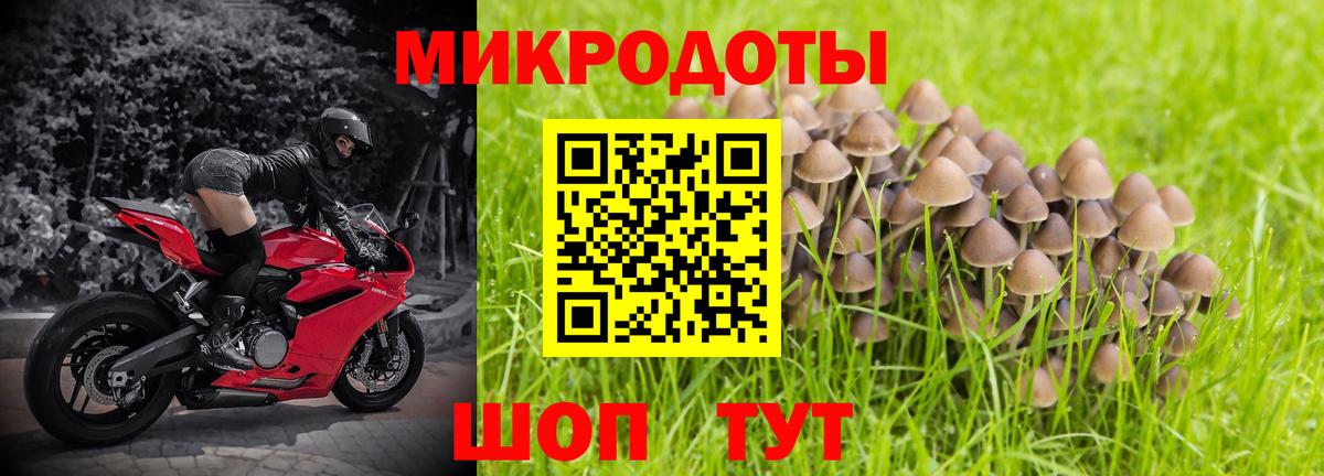 Псилоцибиновые грибы Psilocybe  Вход с VPN  Унеча 